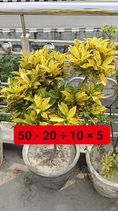 Math Test Solution | Learn And Solve