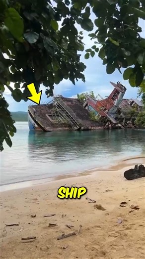 These Abandoned Cruise Ships Are Still Out There… And It’s Terrifying 😳