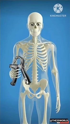 The 120KG Test: Only 1% Can Do This! 🔥 #gripstrength