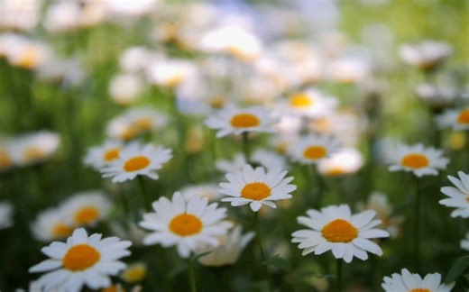 松下gh6 18-35适马！色彩战神，索尼那个鬼颜色爱谁用谁用！