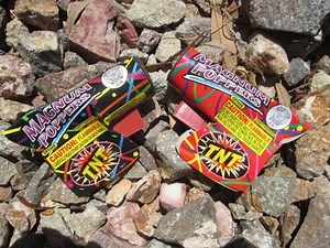 TNT Fireworks - Magnum Popper party popper novelty firework