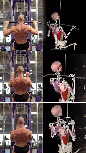 303K views · 965 reactions | Lat pulldown variations Different grips...