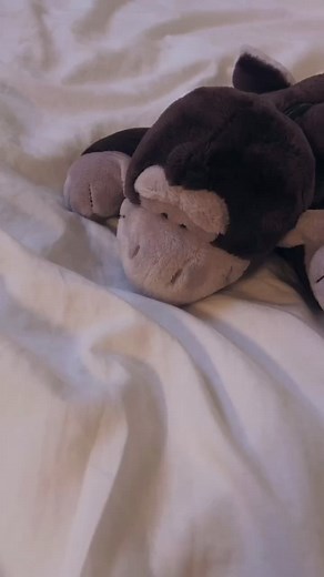 ゴリラ筆箱の魅力を探る💕