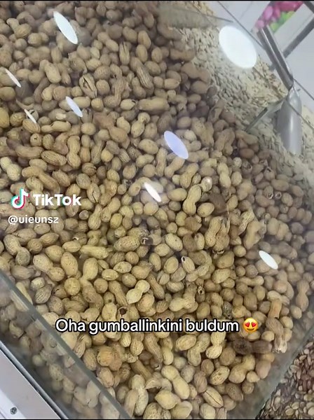 The Amazing and Weird World of Gumball Moments