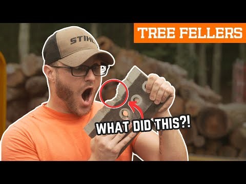SOMETHING ran through the CHIPPER and BUSTED the KNIVES! | Tree Fellers - KJS Tree Service