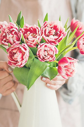 Caring For Cut Tulips So They Last Longer