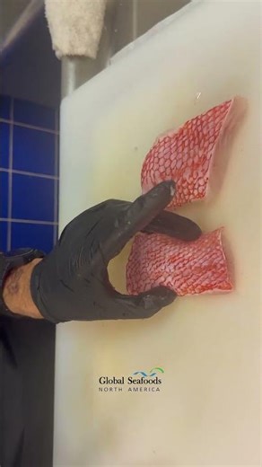 Scoring Idiot Rockfish (Kinki) Fillets — Chef Joshua’s Flavor Technique