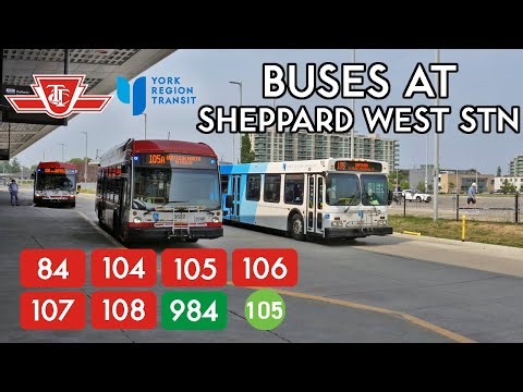 TTC and YRT Buses at Sheppard West Station