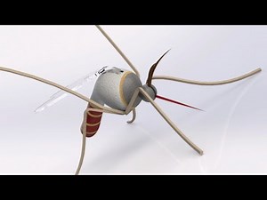 Mosquito | modeled in Solidworks