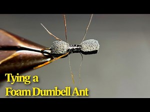 Fly Tying with Sheet Foam- how to tie the Dumbell Ant