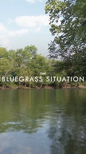 12K views · 242 reactions | Colorado-based bluegrassy string band, Wood Belly performs "Alamosa Rain". 蝹 Listen to the full DelFest Session on BGS: https://bit.ly/3xInG5U | The Bluegrass Situation | Facebook