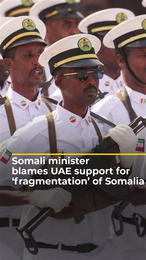 Somalia's Regional Support from UAE Explained