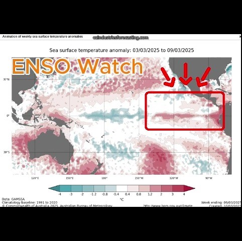 🌏 Is a Climate Shift Quietly Unfolding Across Australia? Today’s long-range outlook reveals a powerful climate rhythm in motion — part of the 36-year Bruckner Cycle, which steadily moves from west to east, bringing waves of drought and rain across continents, including Australia. 🧭 Western Australia began its dry phase in late 2022, and now, as of April 2025, seasonal rains are starting to return to the southwest. In contrast, the eastern states are now entering their peak dry phase, expected 