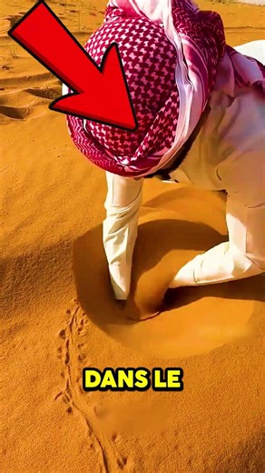 Il attrape un poisson des sables !