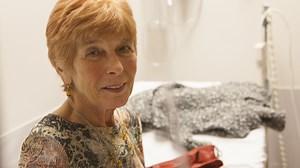 Harnessing The Immune System To Fight Cancer