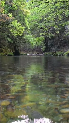 A Quiet River To Help You Relax