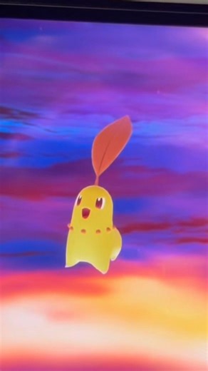 Shiny Alpha Chikorita Evolution Speedrun #chikorita #meganium #bayleef #pokemon #pokemonlegendsza