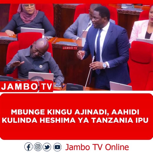 Jambo Online Tv on Instagram: "VIDEO: Mbunge wa Jimbo la Ikungi Magharibi, Elibariki Kingu, amewaomba wabunge wenzake kumpa ridhaa ya kuiwakilisha Tanzania katika Umoja wa Mabunge Duniani (IPU), akijinasibu kwa uzoefu wake mkubwa wa kidiplomasia na utumishi uliotukuka ndani na nje ya nchi. Akizungumza bungeni leo, Kingu amesisitiza kuwa katika kipindi cha miaka mitano iliyopita, amekuwa mstari wa mbele kuhakikisha bendera ya Tanzania inapepea kwa heshima katika majukwaa ya kimataifa. Kingu, amba