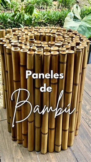 Bambú Tico | Bambú para la construcción 🌿 on Instagram: "🌿 Paneles ecológicos de bambú hechos a la medida. Diseñamos y fabricamos paneles con cañas de bambú para brindarte privacidad, estilo y conexión con la naturaleza. Ideal para cercas, tapias, jardines, divisiones y proyectos especiales. 📩 Cotiza con nosotros hoy y transforma tu espacio. Escríbenos a nuestro WhatsApp 2771-8570, estamos ubicados en Pérez Zeledón, Costa Rica #bambú #costarica #panelesdebambú #eco #bioconstrucción"