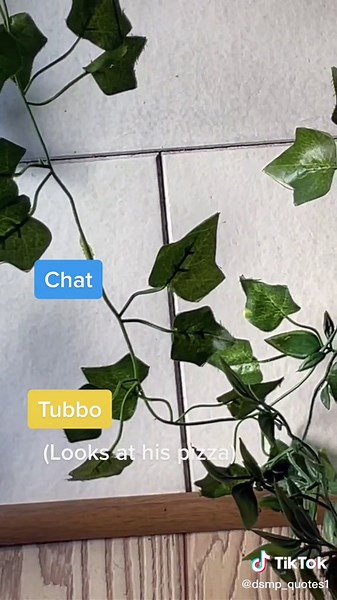 🙁😕 this makes me so sad #stop #hating #tubbo #dsmp #sad #fyp