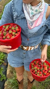 87K views · 17K reactions | My little yeehaw meemaw loves picking berries & making jam so I reckon I better start looking for a new backyard @emilyann_music 懶 #summer #canning #husbandwife #funny | Sasser House | Facebook