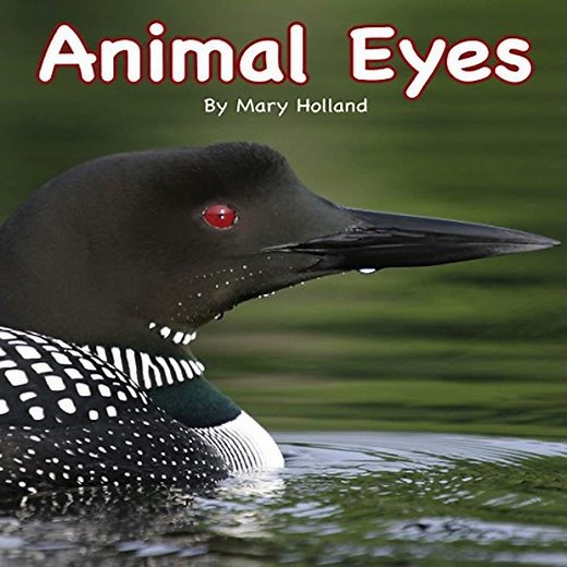 Animal Eyes by Mary Holland | Full Audiobook