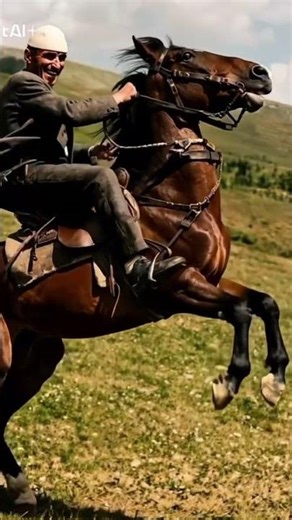 Stari Pazar 107-Selo Baćica 80-tih godina-Opština Tutin #horse #animals #pester