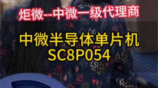 中微单片机SC8P054
