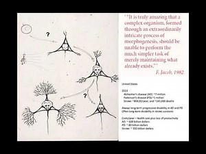 Neurobiology of Aging Lecture Series: #1 – Theories, Comparative Biology, and Animal Models of Aging