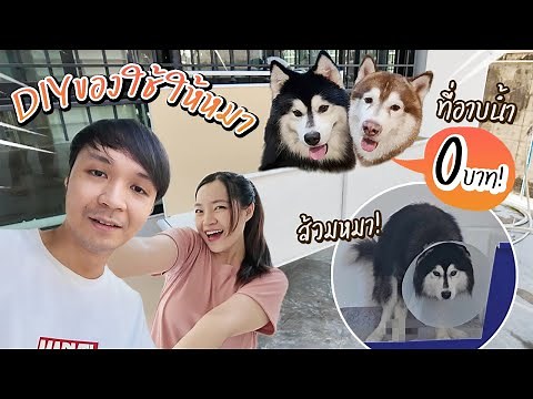 DIY ออกแบบของใช้ให้หมา // ที่อาบน้ำ 0บาท! ส้วมหมาแบบใหม่!