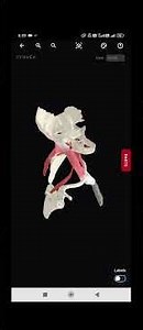 TCML Anatomy 3D models