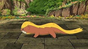 What is the best moveset for Yungoos and Gumshoos in Pokemon GO?