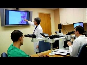 Pathology and Laboratory Medicine Institute - Cleveland Clinic, Ohio