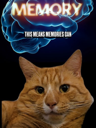 Can You Remember Something Completely False? Understanding False Memories
