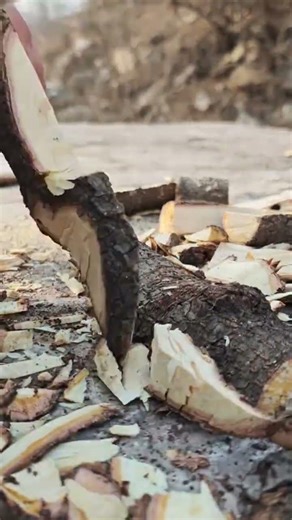Traditional Log Splitting Techniques