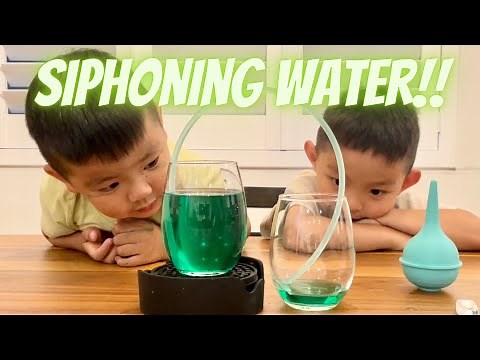 Siphoning Water - Kids Science Experiments you can do at home with Matthew and Nathan!