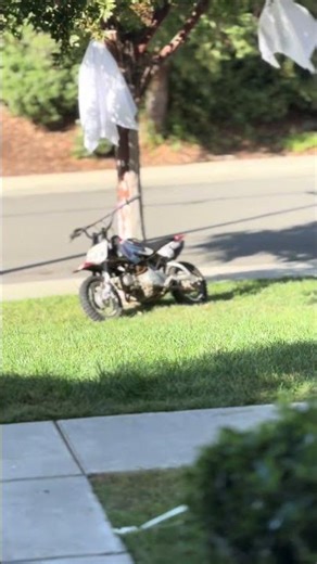 New bike crf50 big bore