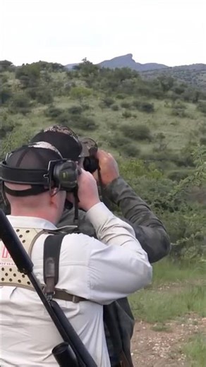 6 Filme AFRIKA SAFARI NAMIBIA - jetzt ansehen! 🎥🇳🇦 #hunting #safari #wildlife #jagd #africa #deer