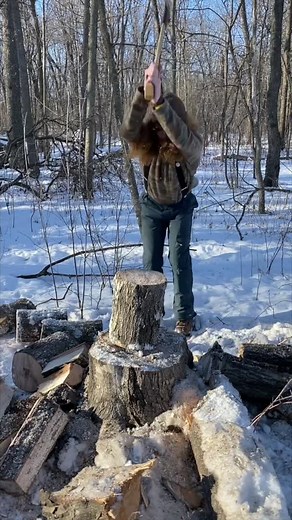 Hard Swing #scandinavian #woodsman #tuatahi #axe #split #voicesofjake #redhead