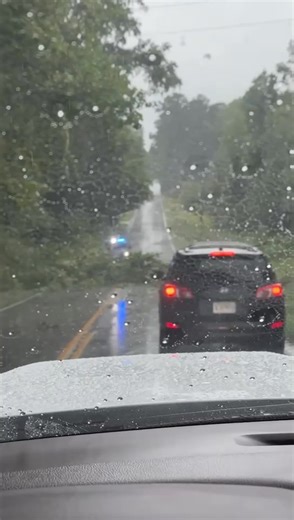 21K views · 40 reactions | Reports of a downed tree this afternoon on Lawson Road in Darlington County. | Tonya B. Brown | Facebook