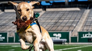 9K views · 159 reactions | 12 of the very best opponents you'll ever find   Our ퟐퟎퟐퟒ 퐒퐜퐡퐞퐝퐮퐥퐞 » https://csura.ms/2024Schedule #Stalwart x #RamGrit  | Colorado State Football | Facebook