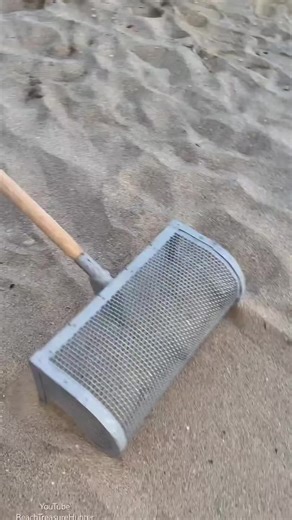 Discovering Beach Treasure: A Golden Adventure