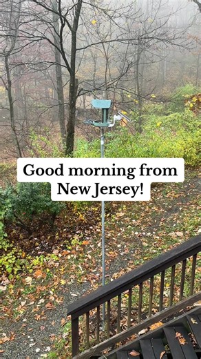 Completely obsessed with my new smart bird feeder!!! And I had two new visitors! @kiwibit_beako #birdfeeder #birdwatching #birdtok #birdsoftiktok #birdvideos