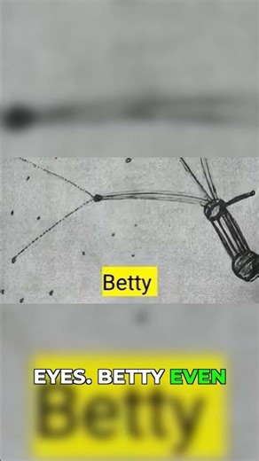 The First Alien Abduction: Betty & Barney Hill Story