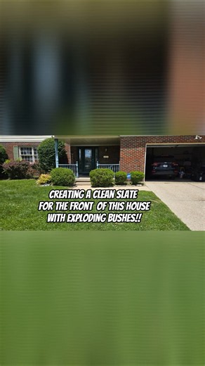 Creating A Clean Slate For the Front Of This House With Exploding Bushes - THE EASY WAY!
