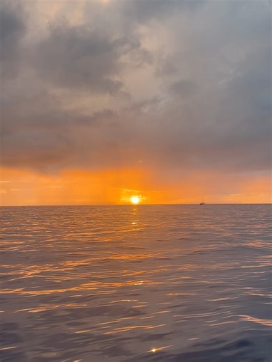 Casey Cook on Reels | Facebook