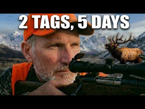 BUGLING Bulls in a NEW Unit! | Elk Hunting Colorado Public Land (1st Rifle Season)