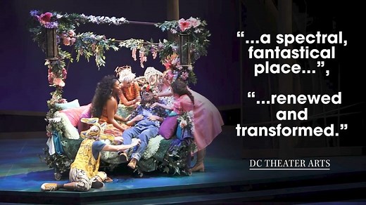 59K views · 138 reactions | Don't miss your chance to see the fun and flirty adventure of the season, A MIDSUMMER NIGHT'S DREAM! ✨ With performances through the first week of June, there's still plenty of opportunities for you to start your summer with laughter. | Everyman Theatre | Facebook