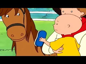 Caillou Rides a Horse | Caillou | Cartoons for Kids | WildBrain Toons