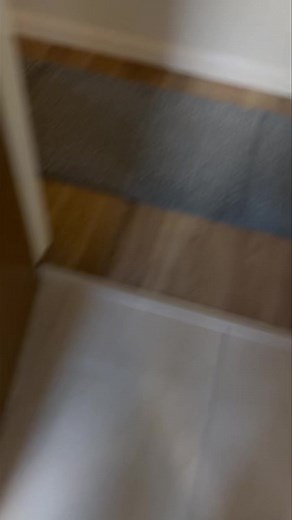 12K views · 21 reactions | Domestic rat trap set up All traps are...